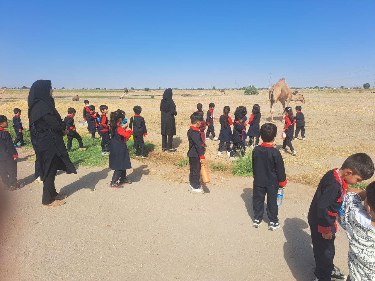 پیش دبستان یاس